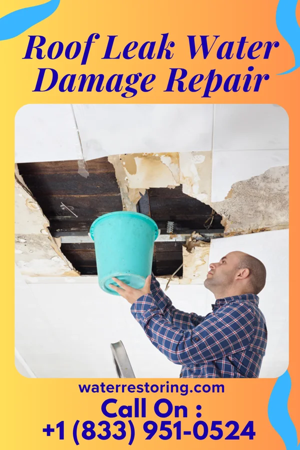Roof Leak Water Damage Repair in St. Joe, IN