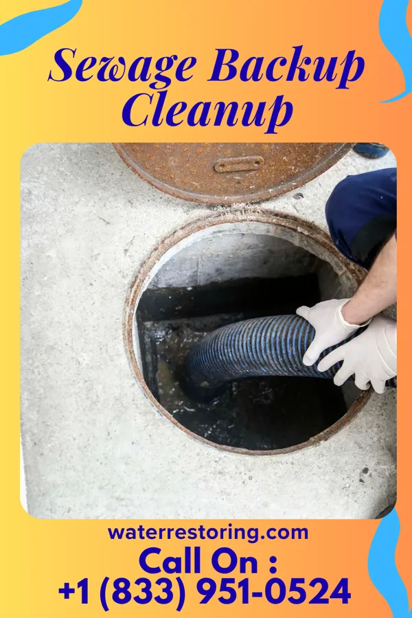 Sewage Backup Cleanup in St. Joe, IN